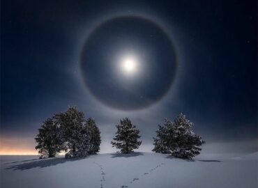 4709 Mėnulio Halas Virš Apsnigtų Medžių