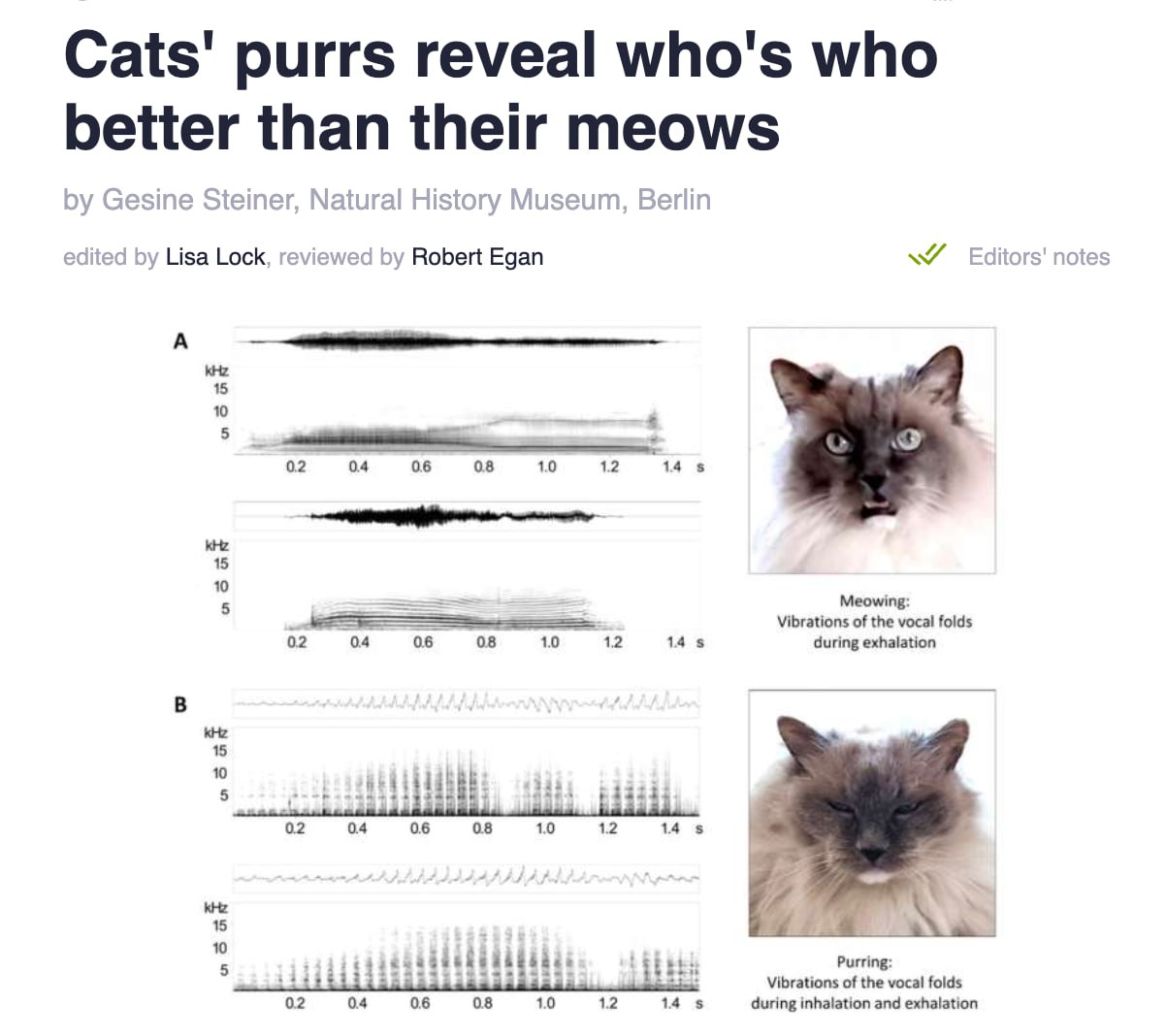 6086 Kačių Murkimas Kaip Atpažinimo Priemonė