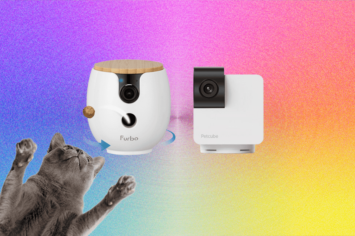 10 Geriausi Namini Gyvn Kamer 2026 M Ibandytos Su Ms Augintiniais