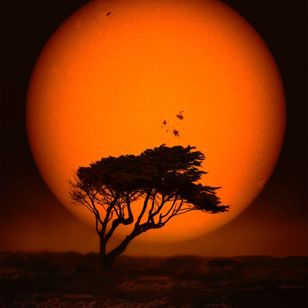 10331 Unikalus Medis Saulės Fone įspūdingas Astronomijos Entuzias