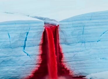 10439 Antarktidos Kraujo Raudonumo Krioklys Neįprastas Gamtos Rei