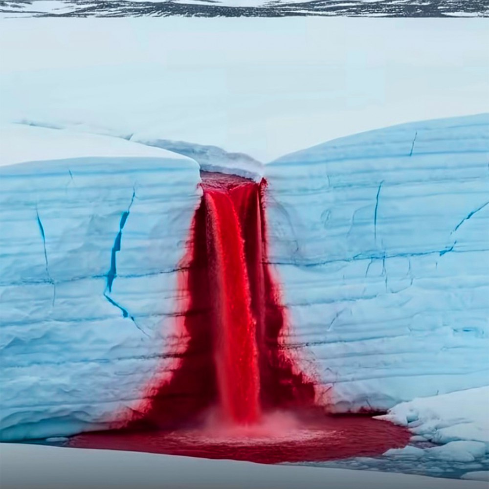 10439 Antarktidos Kraujo Raudonumo Krioklys Neįprastas Gamtos Rei