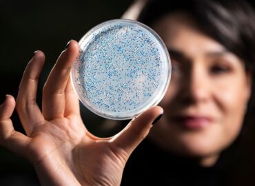 10887 Mokslininkai Atkūrė 32 Milijardų Metų Senumo Fermentą Siek