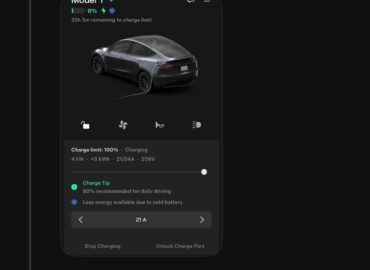 20079 Analizė Apie Nuomonių Skirtumus Ir Jų Priežastis