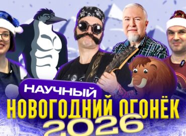 2236 Mokslo Metų Apžvalga Svarbiausi įvykiai Archeologijoje Pal