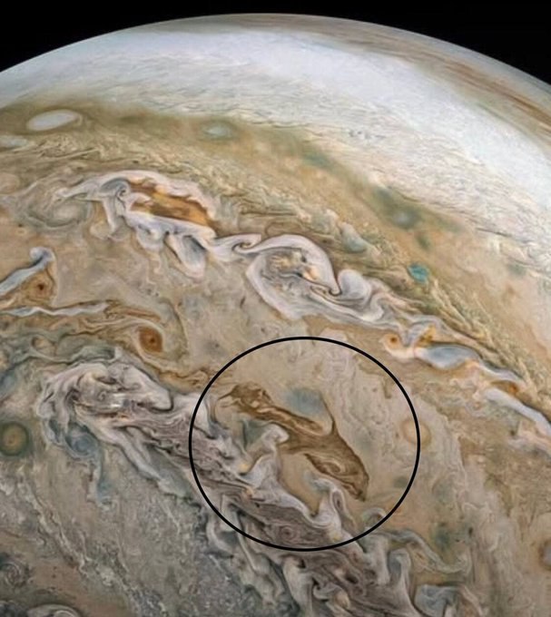 3626 Nasa Juno Zondas Užfiksavo Delfino Formos Debesį Jupiterio P