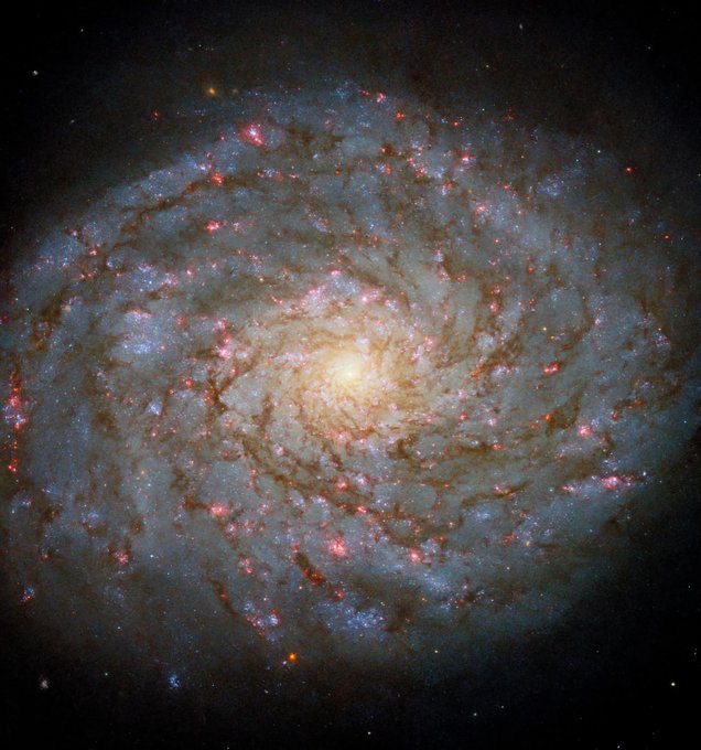 3659 Spiralinė Galaktika Ngc 4689 54 Milijonų šviesmečių Atstumu