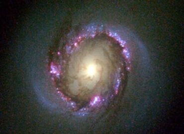 3669 Hubble Teleskopas Atskleidžia įspūdingą Ngc 4314 Galaktikos 