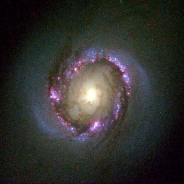 3669 Hubble Teleskopas Atskleidžia įspūdingą Ngc 4314 Galaktikos