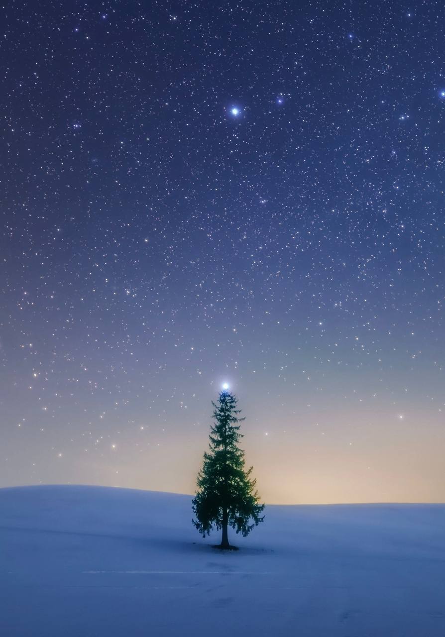 4737 Naujųjų Metų žvaigždės Sirusas Ir Vyrtaneno Kometa Puošia E