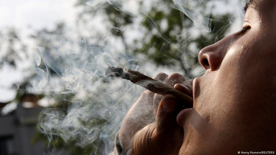 Brit Tyrimas Nustat Kanapi Vartojimo Ribas Pagal Thc Vienetus