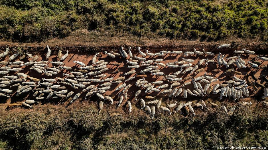 Es Ir Mercosur Susitarimas Prekybos Galimybs Ir Aplinkosaugos Ikiai