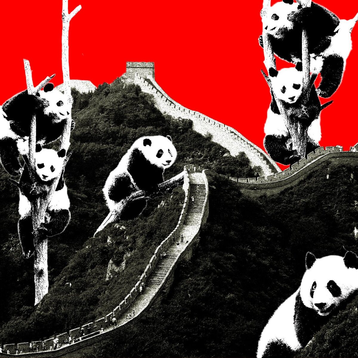 Kodėl „Very Chinese Time“ tapo populiariu memu JAV