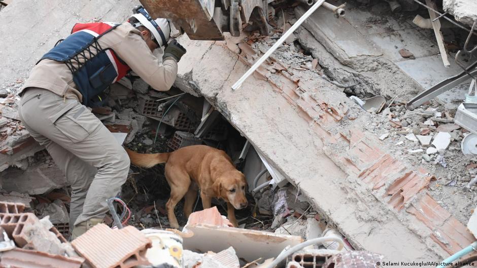 Mokslininkai Tiria Ar Unys Tikrai Gali Jausti Pavoj