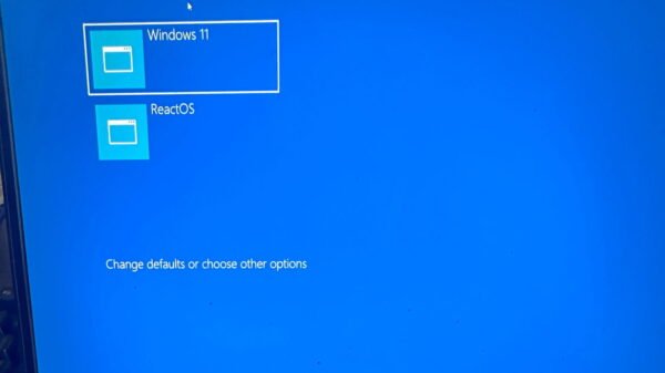 Reactos Projektas Mini 30 Met Veiklos Sukakt