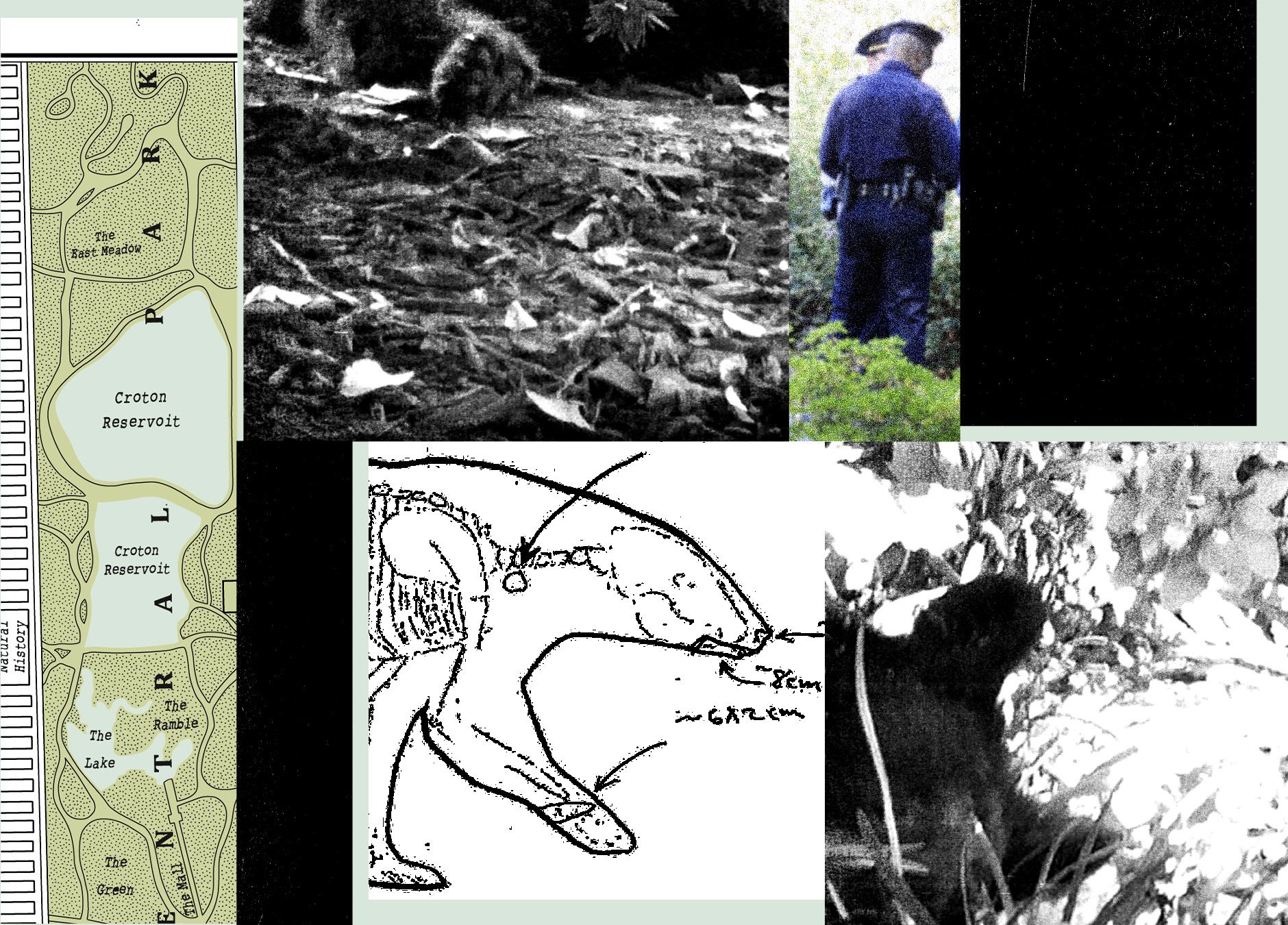 Robertas F Kennedy Jr Paliko Mekos Jauniklio Kn Centriniame Parke 2014 Metais