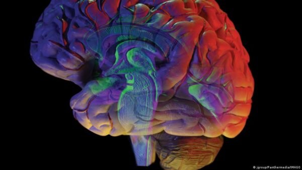 Tyrimas Jav Adhd Vaistai Neveikia Smegen Dmesio Centr