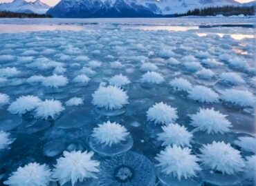 10467 Retas Gamtos Reiškinys Norvegijoje Ledo Gėlės