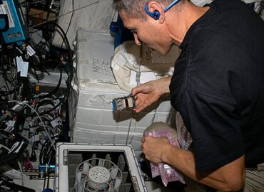 10976 Mikroorganizmai Kosmose Kaip Grybai Padeda Išgauti Metalus 