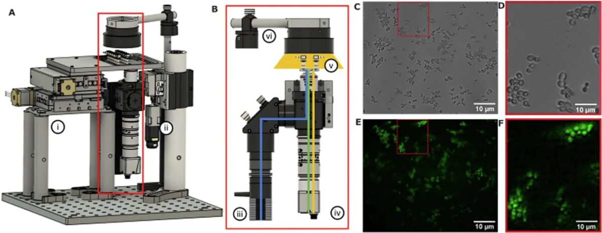 Naujas mikroskopas leis tyrinėti ląsteles mikrogravitacijoje