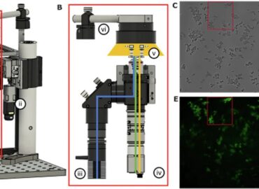 11013 Naujas Mikroskopas Leis Tyrinėti Ląsteles Mikrogravitacijoje