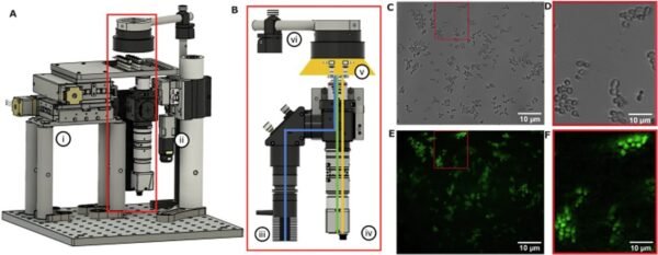11013 Naujas Mikroskopas Leis Tyrinėti Ląsteles Mikrogravitacijoje