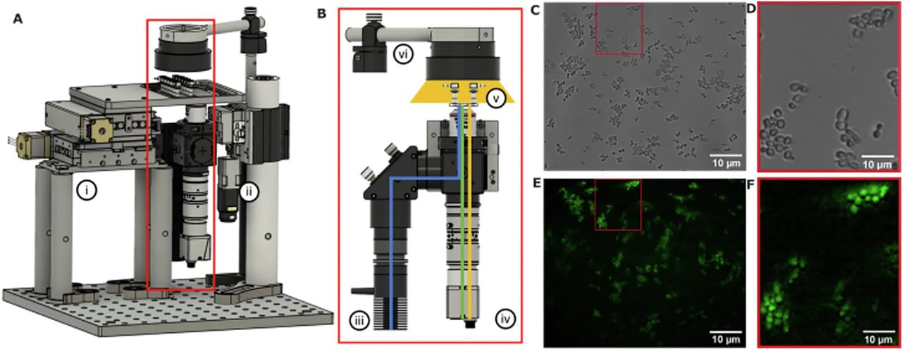 11013 Naujas Mikroskopas Leis Tyrinėti Ląsteles Mikrogravitacijoje