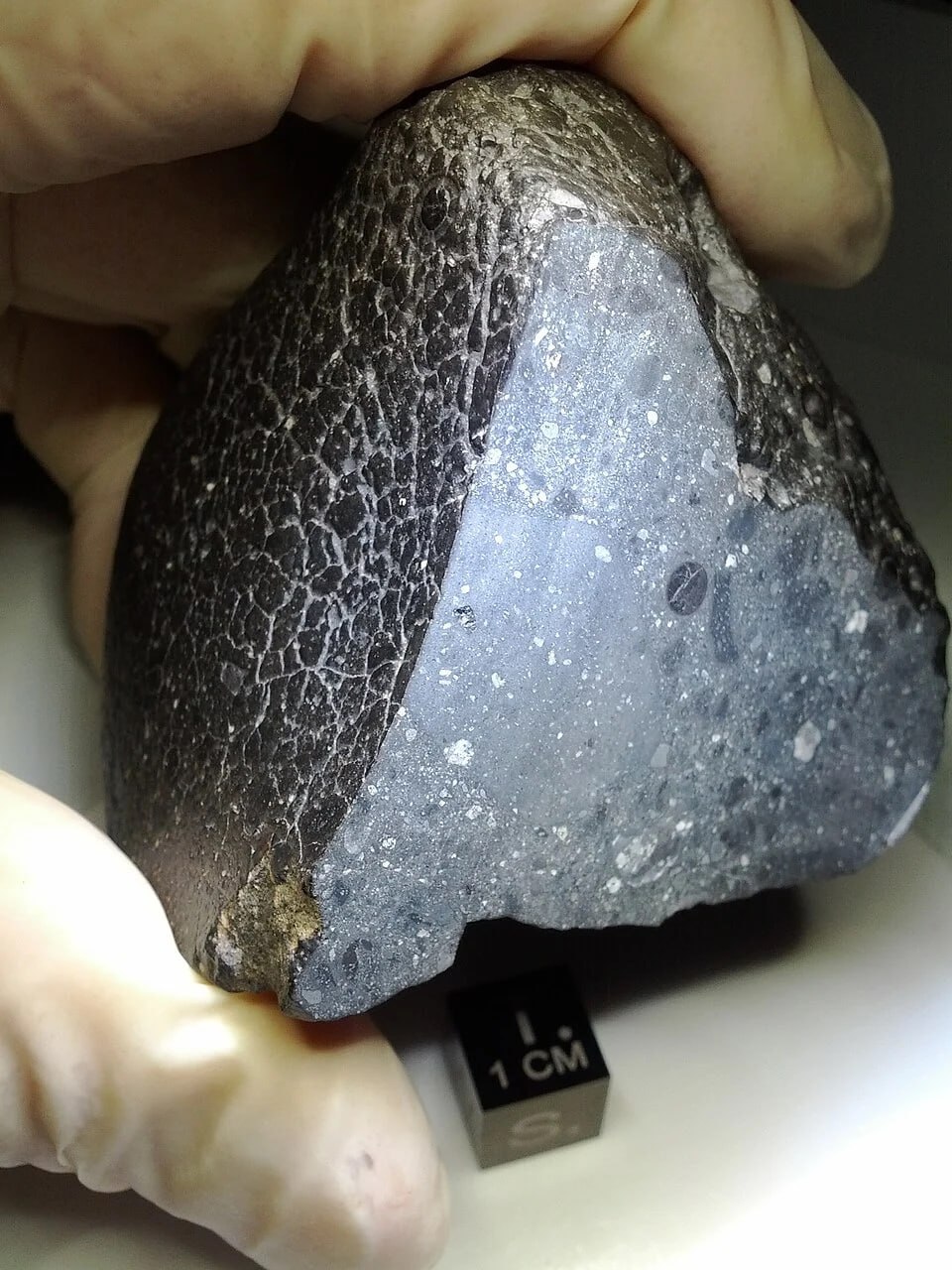 1317 Marso Meteorite Nwa 7034 Atrasta Paslėpta Vandens