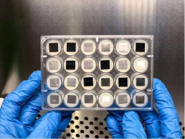1324 Bioplėvelės Kosmose Grėsmė Astronautams Ar Kolonizacijos Ra