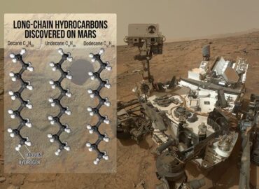 1349 Zemės Mikrobų Išgyvenimo Trukmė Marse Nauji Tyrimai