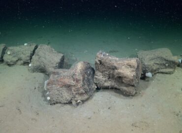 1694 Argentinos Mokslininkai Atrado Povandeninius Stebuklus Nuo 