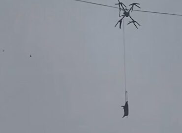 20242 Kinijoje Dronas Gabenantis Kiaulę Sukėlė Elektros Tiekimo 