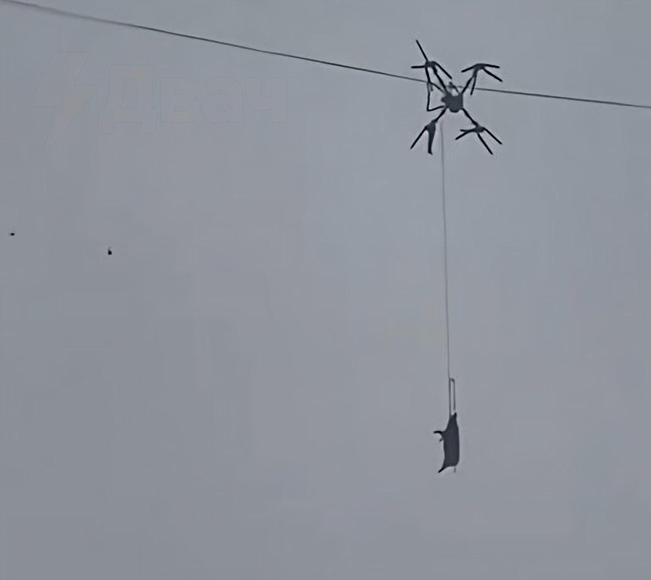 20242 Kinijoje Dronas Gabenantis Kiaulę Sukėlė Elektros Tiekimo