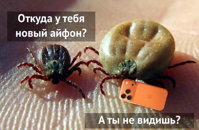 20300 Šv Valentino Diena Meilės Ir Romantikos šventė