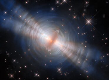 2288 Tumanos Kiaušinio Formavimosi Procesas Naujos įžvalgos