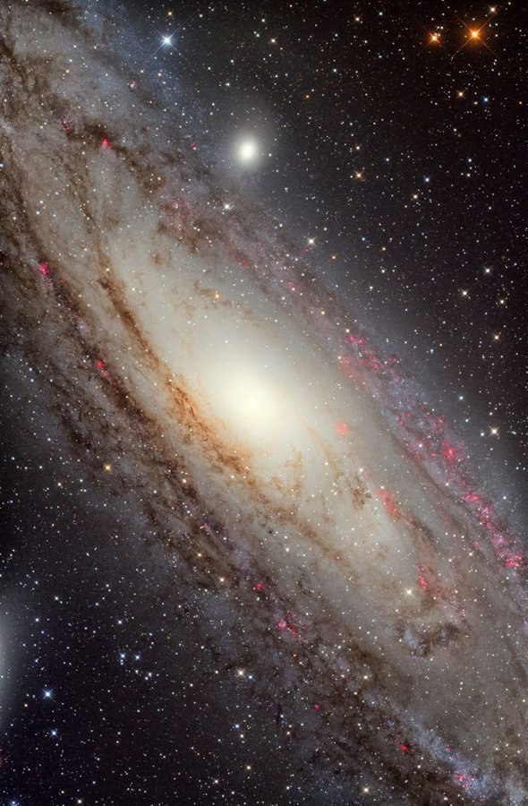 3699 Andromedos Galaktika įspūdingas Takashi Moriya Fotografijos