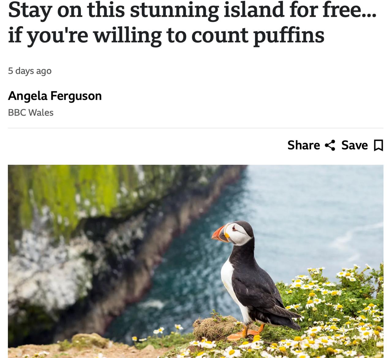 6598 Skomer Sala Kviečia Savanorius Stebėti Paukščių Koloniją