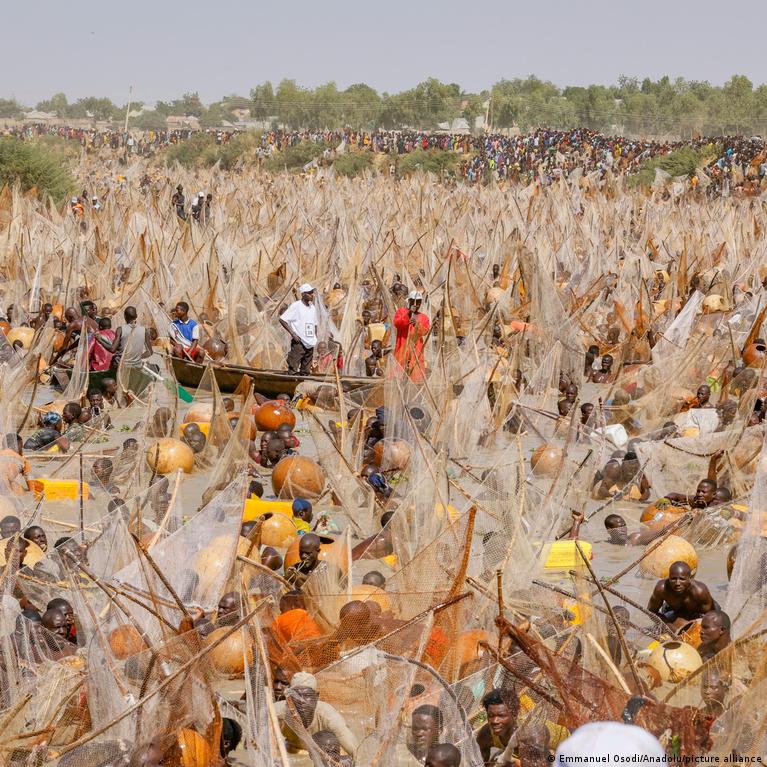 Argungu Vejybos Festivalis Nigerijoje Sugrta Po Eeri Met Pertraukos
