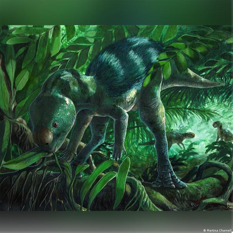 Ispanijoje Rastas Maas Dinozauras Gali Pakeisti Ornithopod Evoliucijos Suvokim