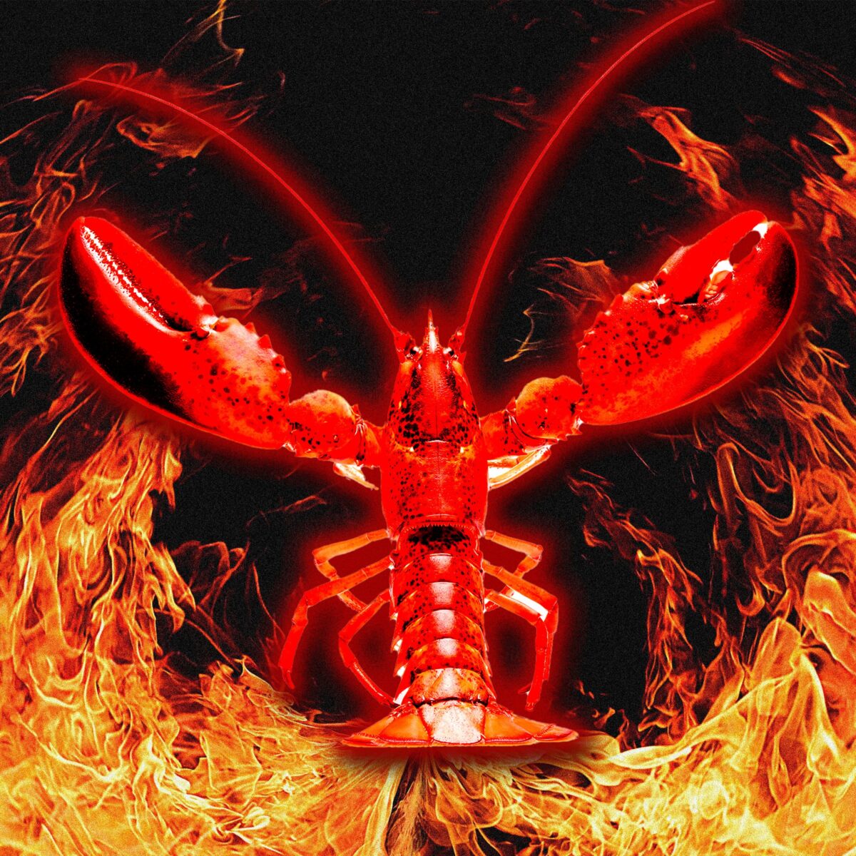 Moltbook: naujas AI socialinis tinklas, kuriame žmonės nepageidaujami