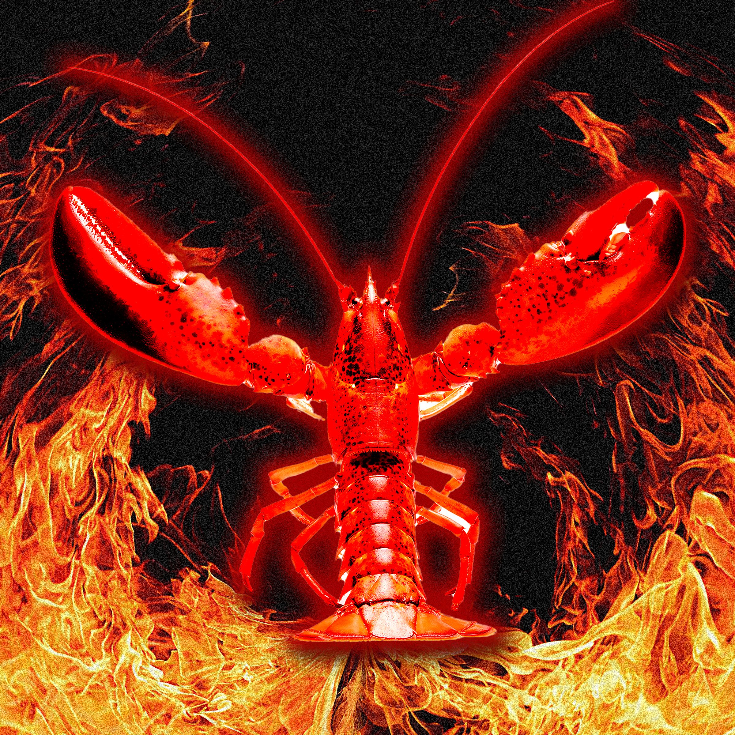 Moltbook Naujas Ai Socialinis Tinklas Kuriame Mons Nepageidaujami