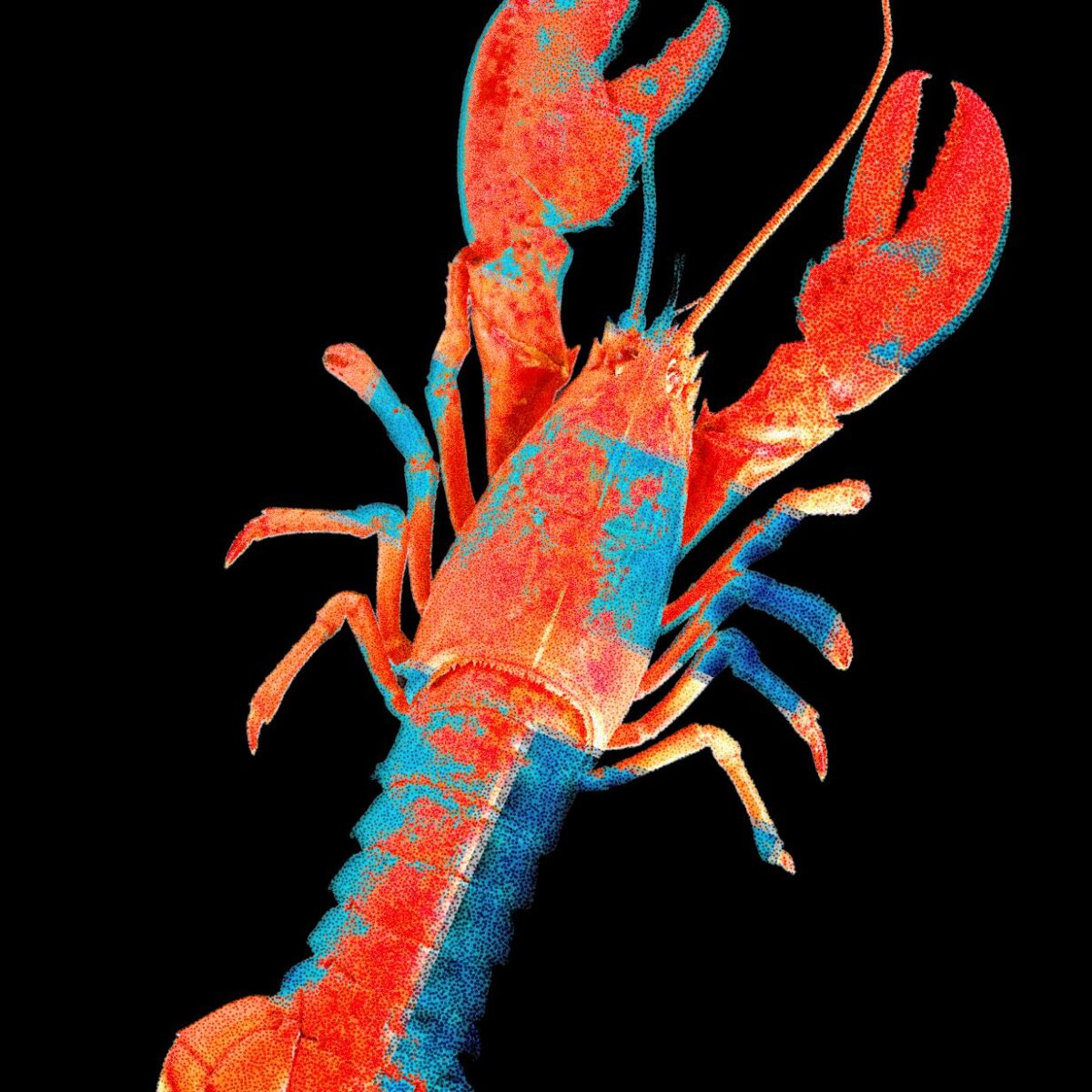 Moltbook Socialinis Tinklas Atskleid Tikr Moni Duomenis