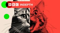 Socialiniai Tinklai Utvindyti Dirbtinio Intelekto Sukurtomis Nuotraukomis Ir Vaizdo Raais