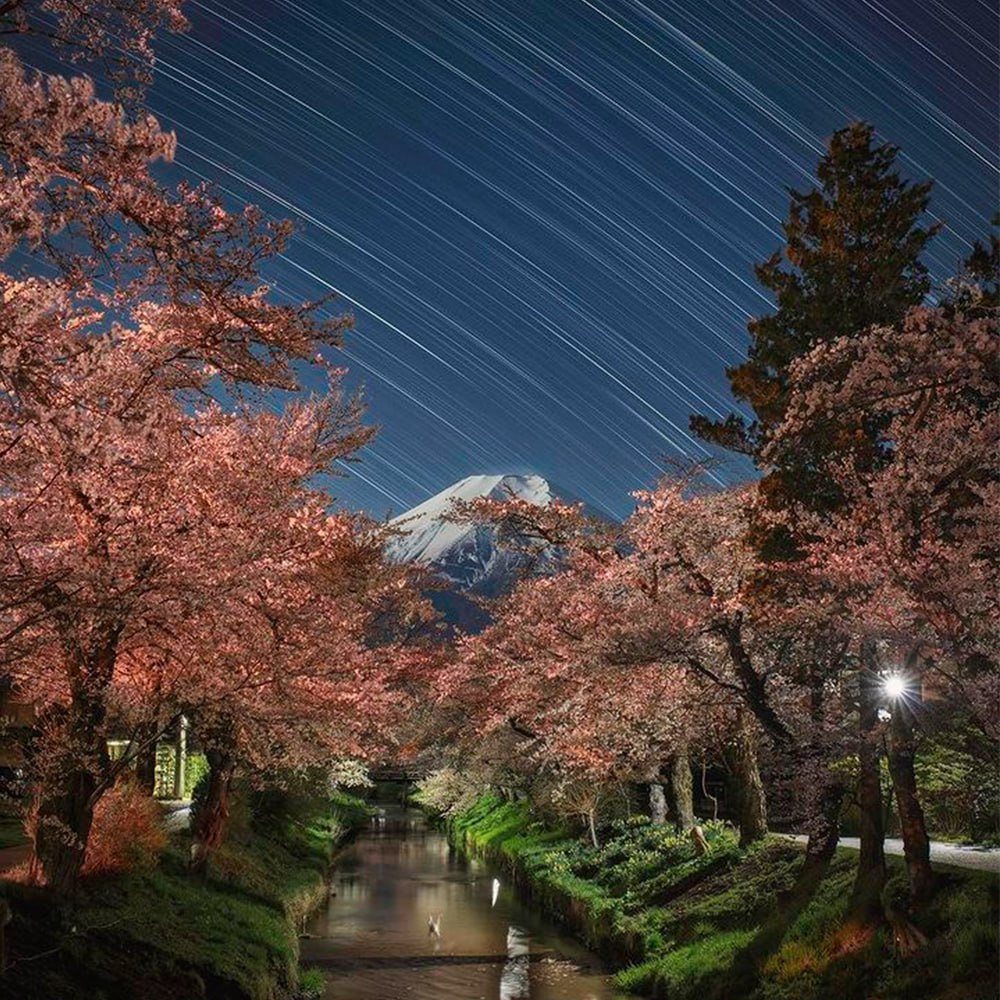 Fudzijama – aktyvus ugnikalnis su turtinga istorija