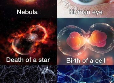 10670 Žmogaus Kūno Ir Visatos Struktūros Panašumai įdomūs Atradim