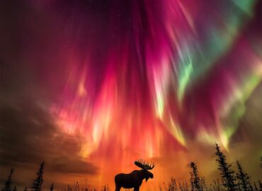 10681 Šiaurės Pašvaistė Nušvietė Tomstouno Kalnų Parką Kanadoje