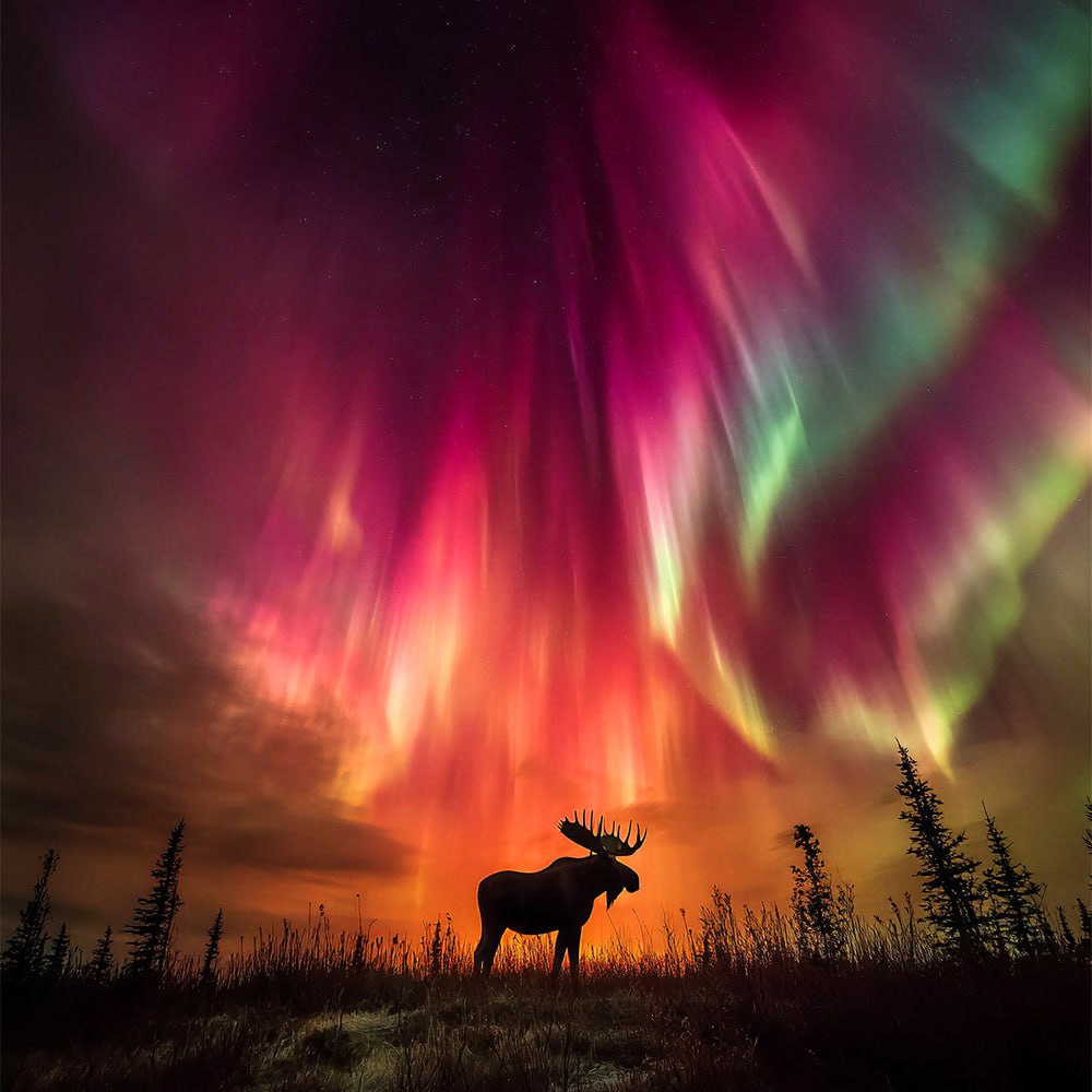 10681 Šiaurės Pašvaistė Nušvietė Tomstouno Kalnų Parką Kanadoje