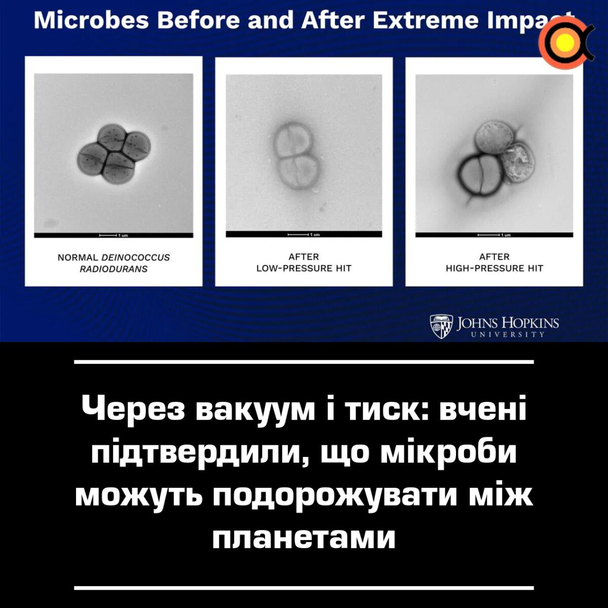 Mokslininkai patvirtino, kad mikrobai gali keliauti tarp planetų 11056 Mokslininkai Patvirtino Kad Mikrobai Gali Keliauti Tarp Pla