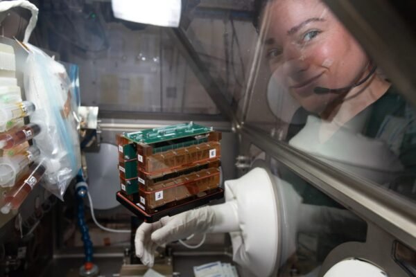 11101 Nasa Naudoja Organus Ant Mikroschemų Kosmose Tyrimams Apie ž