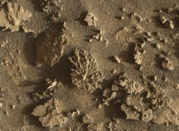 16135 Marsaeigis Curiosity Aptiko Koralą Primenantį Akmenį Marse